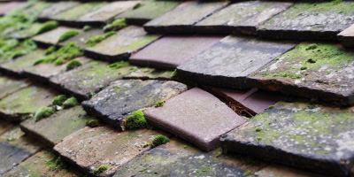 Rhydowen roof repair costs